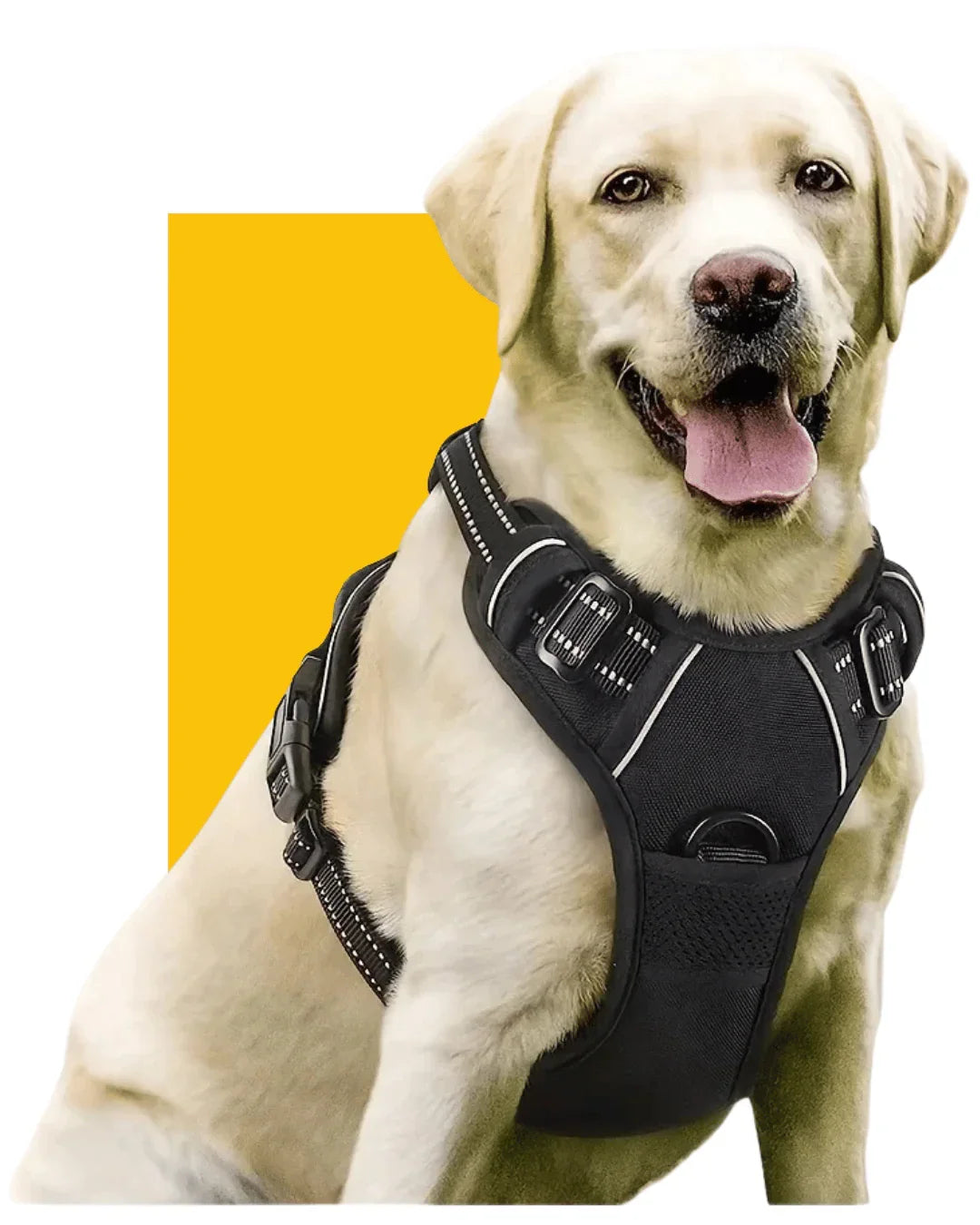 Arnés Pechera Antitirones para Perros + Correa Reflectante