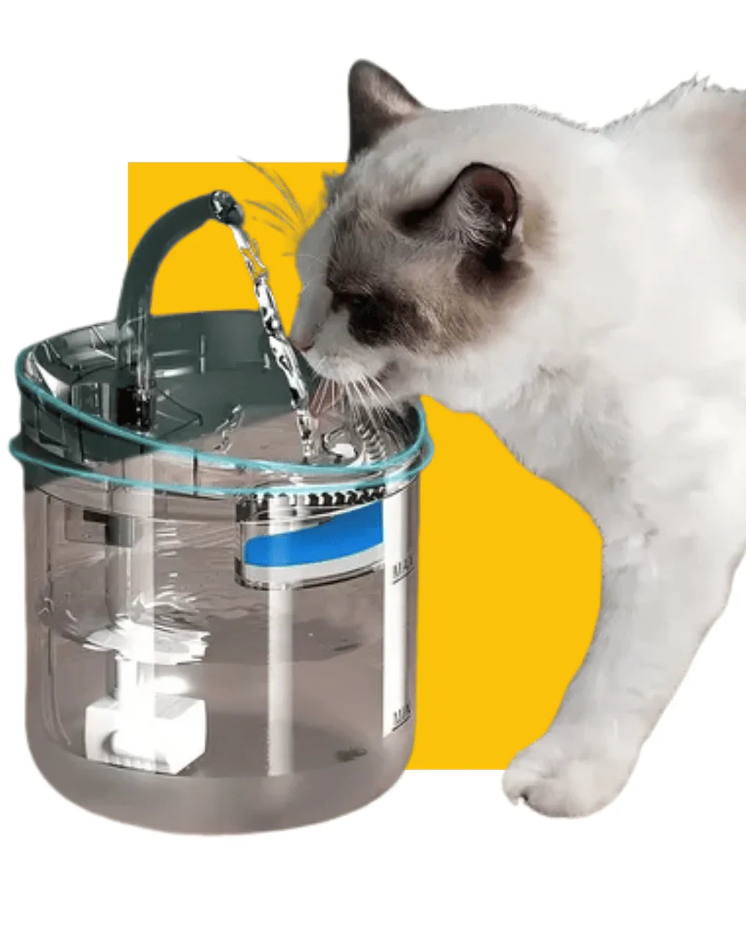 Fuente de Agua para Gatos y Perros 1.8L | Bebedero Automático Silencioso |
